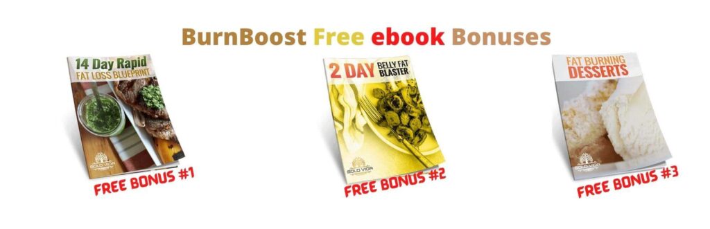 BurnBoost and Free ebook Bonuses