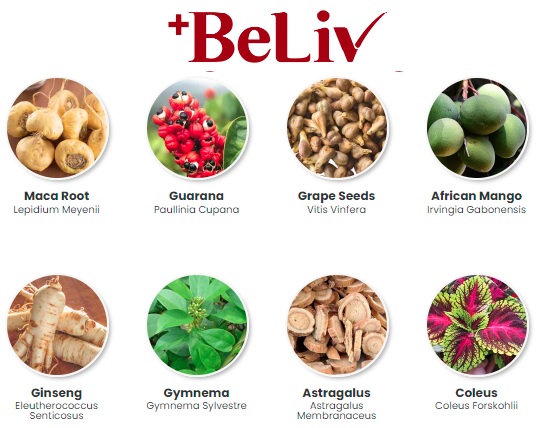 BeLiv Blood Sugar Support reviews