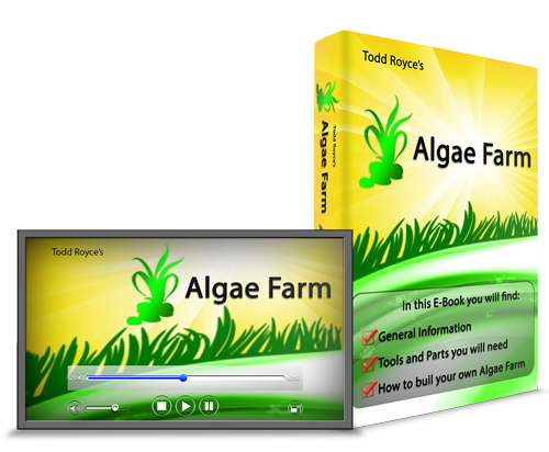 Algae Farm
