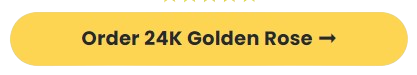 24K Golden Rose buy now