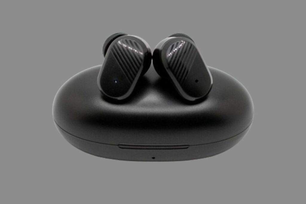 Echo Labs Earbuds